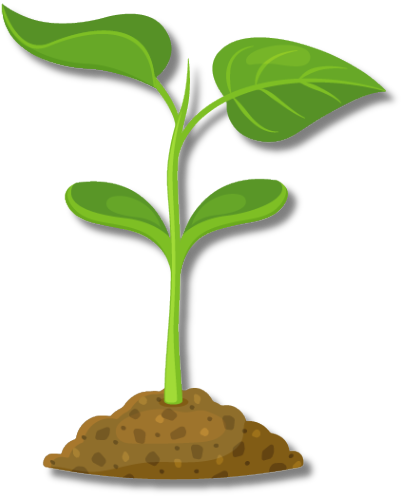Sprout icon